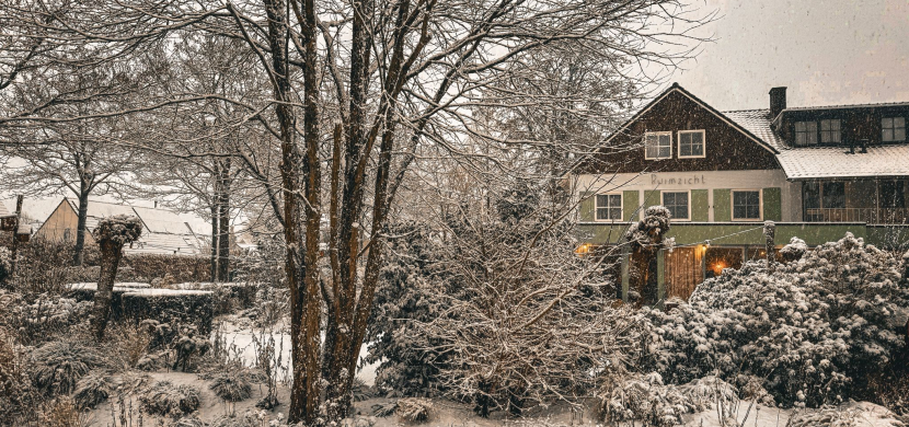 Sneeuw bij Ruimzicht