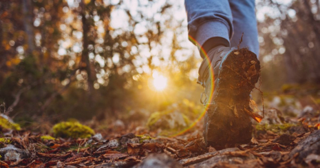 Wandelen in de Achterhoek