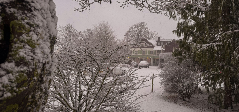 Winter bij Ruimzicht