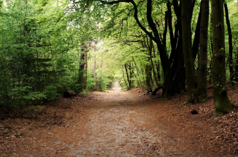 natuurlijke vergaderlocatie