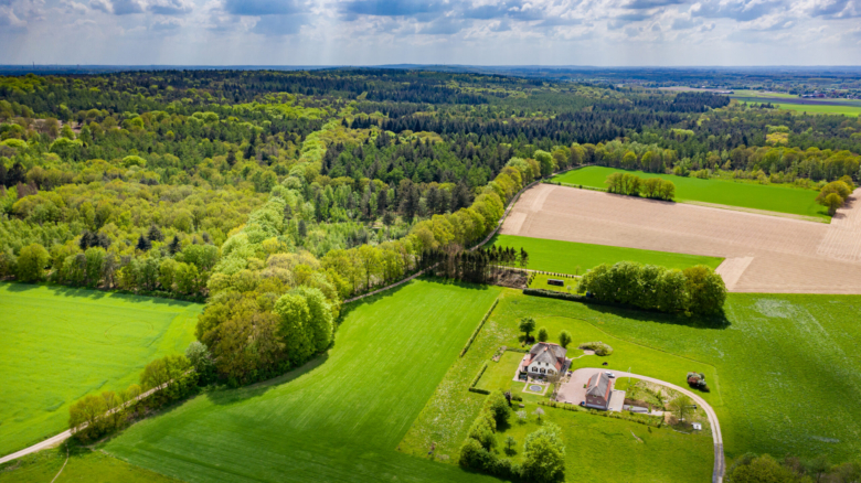 Bergherbos groen omgeving