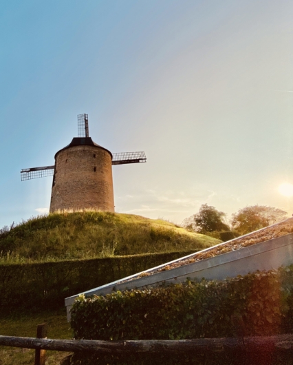 Korenmolen in Zeddam