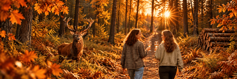 Wild, Wijn, Wandelen